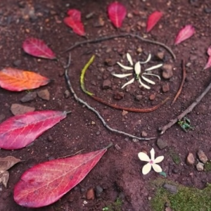 RISE (for women) – India