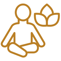 What Is Yoga